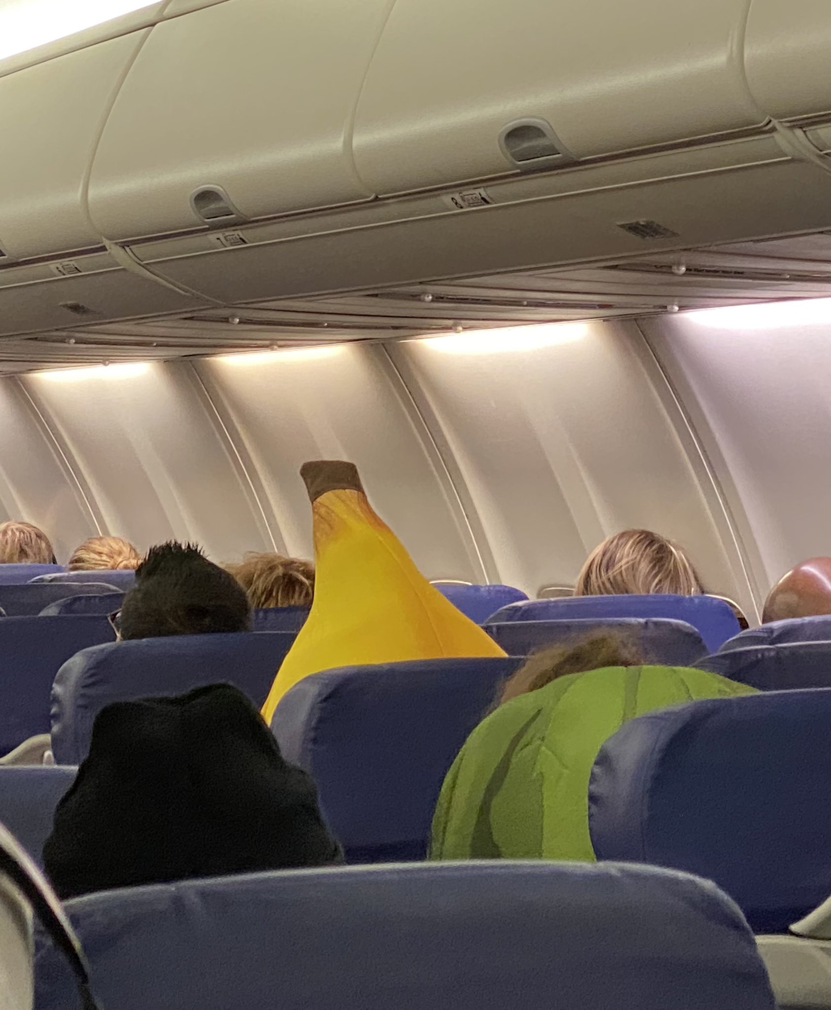Captain Banana Takes Flight!.jpg