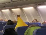 Captain Banana Takes Flight!.jpg
